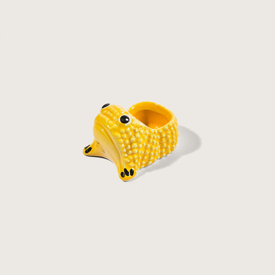 Mini grenouille céramique objet décoratif vide poche art de la table