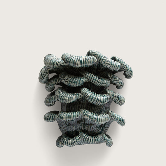 PAON BLUE