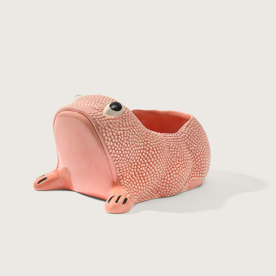 CORAL PINK