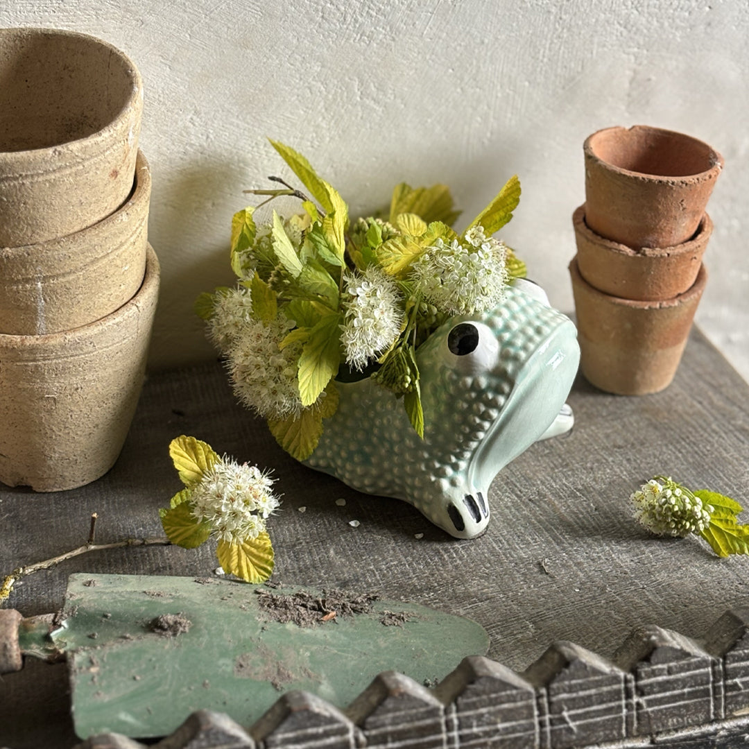 CELADON BLUE