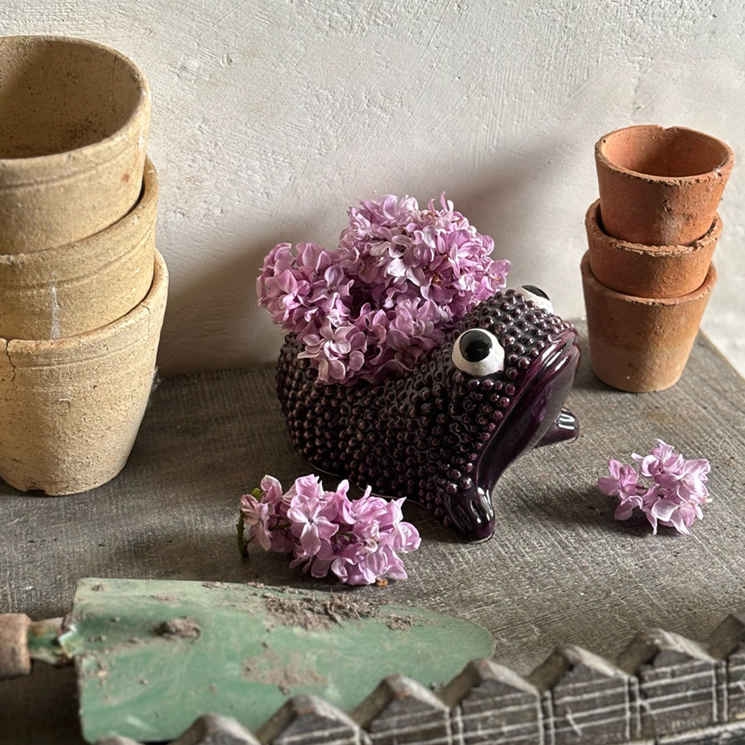 AUBERGINE