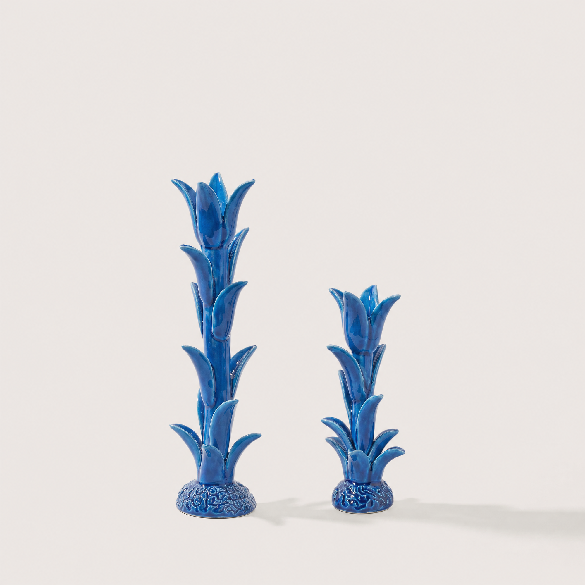 TULIPE M